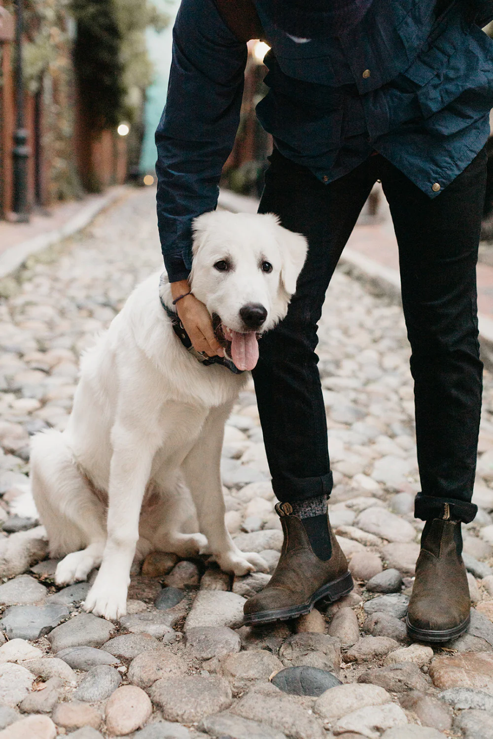 Men's Originals #1615 - Image 11